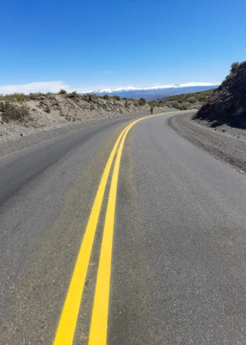 WhatsApp Image 2025-08-04 at 15.00.17